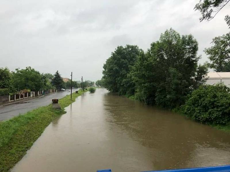 Klenice v Řepově, sobota.