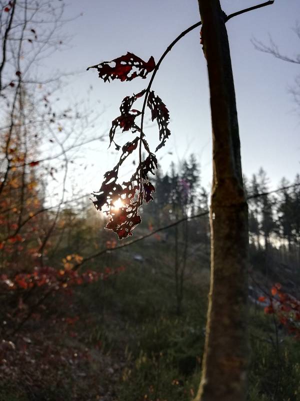 Podzimní krajina očima Gábiny Baborské