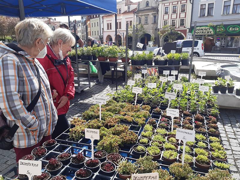Farmářské trhy v Mladé Boleslavi v pátek 21. května.