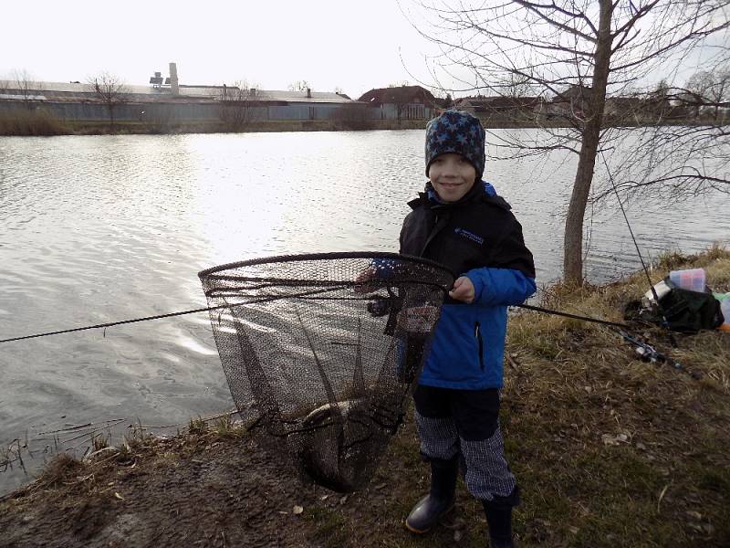 PATNÁCT MALÝCH rybářů z mladoboleslavských kroužků vyrazilo na první výlov pstruhů, který se uskutečnil na rybníku ve Smilovicích.