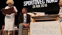 Sportovec Mladoboleslavska 2015