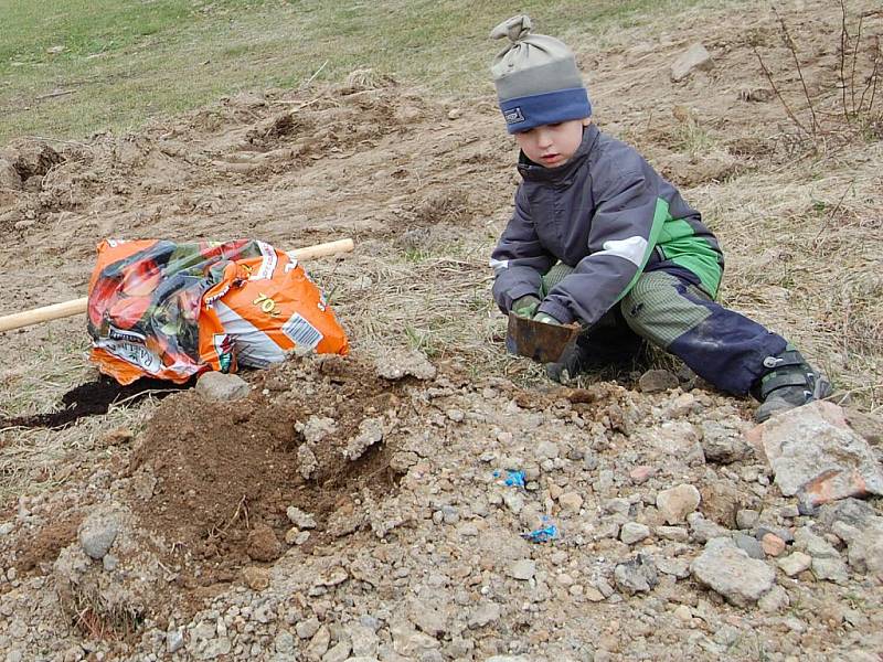 Sázení stromů v Čisté v rámci projektu Škoda Auto