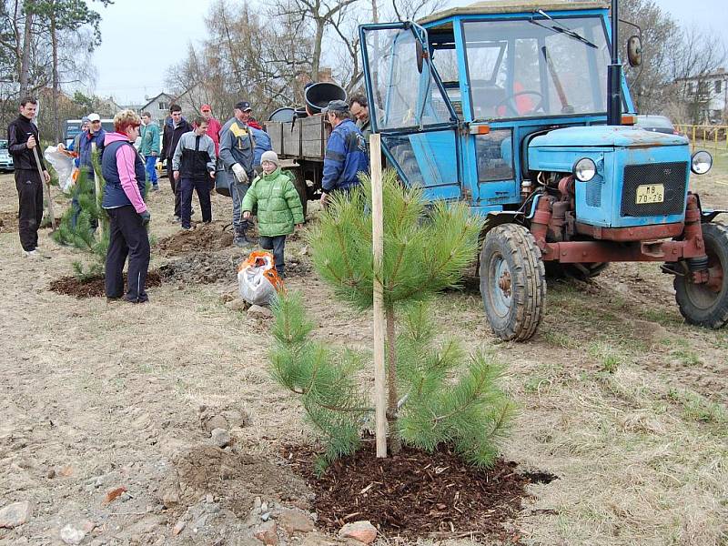 Sázení stromů v Čisté v rámci projektu Škoda Auto