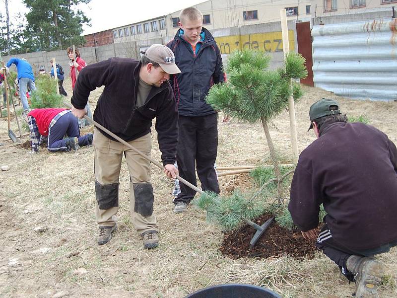 Sázení stromů v Čisté v rámci projektu Škoda Auto