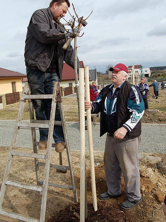 Sázení stromů v Čisté v rámci projektu Škoda Auto