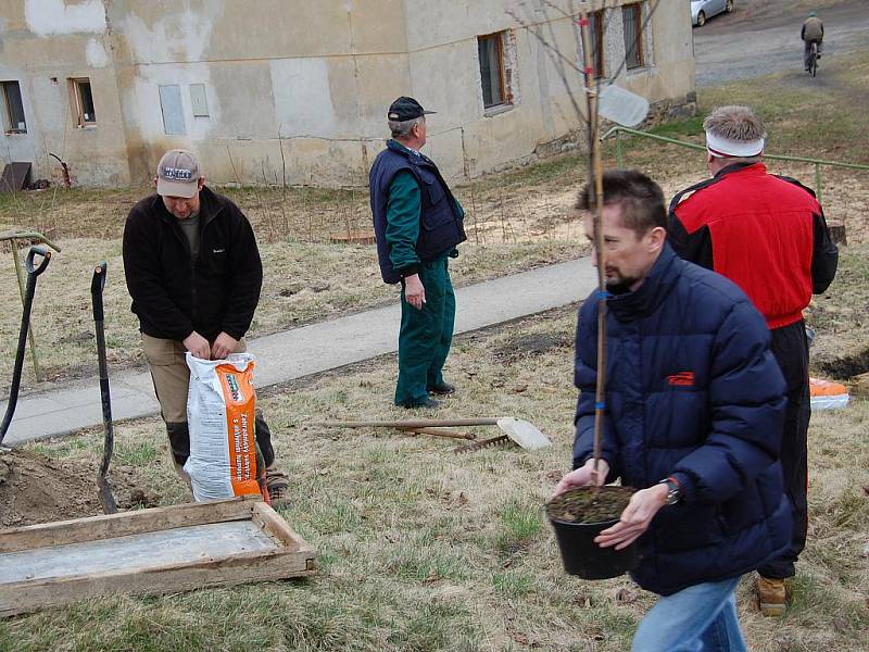 Sázení stromů v Čisté v rámci projektu Škoda Auto