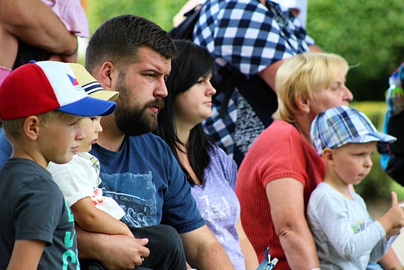 Desítky diváků sledovaly letové ukázky dravců, jejichž výcvikem se zabývá sokolnice Věra Gilová z Dubé u Doks, která je přes léto na Státním zámku Mnichovo Hradiště  pravidelným hostem. K vidění byl výr, raroh, mládě sovy pálené i krkavec.