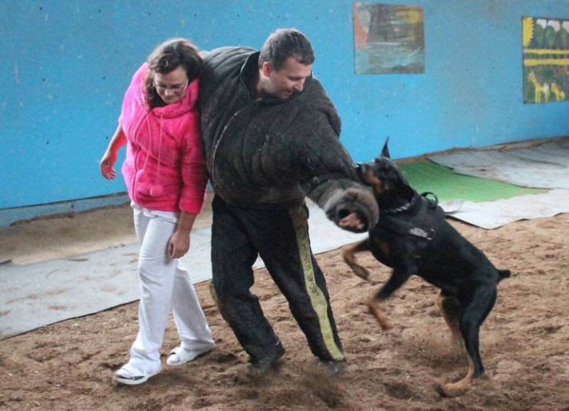 Dny duševního zdraví v Psychiatrické nemocnici v Kosmonosích nabídly i adrenalin