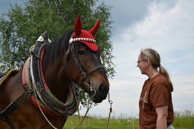 Akce Opratě do ruky na jízdárně v Domousnicích u Mladé Boleslavi.