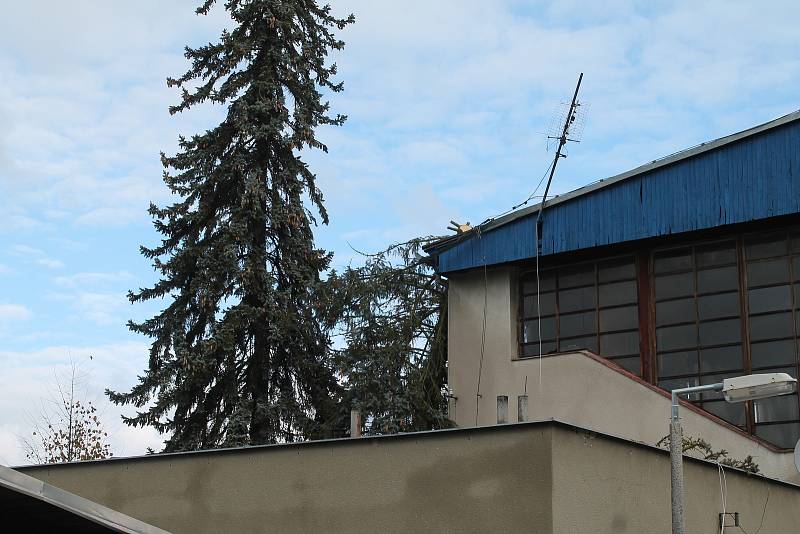 Na fotbalovém stadionu v Mnichově Hradišti dokázal vítr svou silou vyvrátit strom a utrhnout střechu.