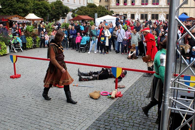 Ze Středověkého jarmarku v Mladé Boleslavi.