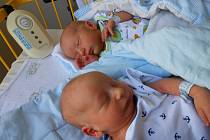 Dvojčátka PETR a ADAM se narodili 2. srpna mamince Lindě a tatínkovi Petrovi, vážili 2480 gramů a 2550 gramů. Bydlet budou v Mladé Boleslavi.
