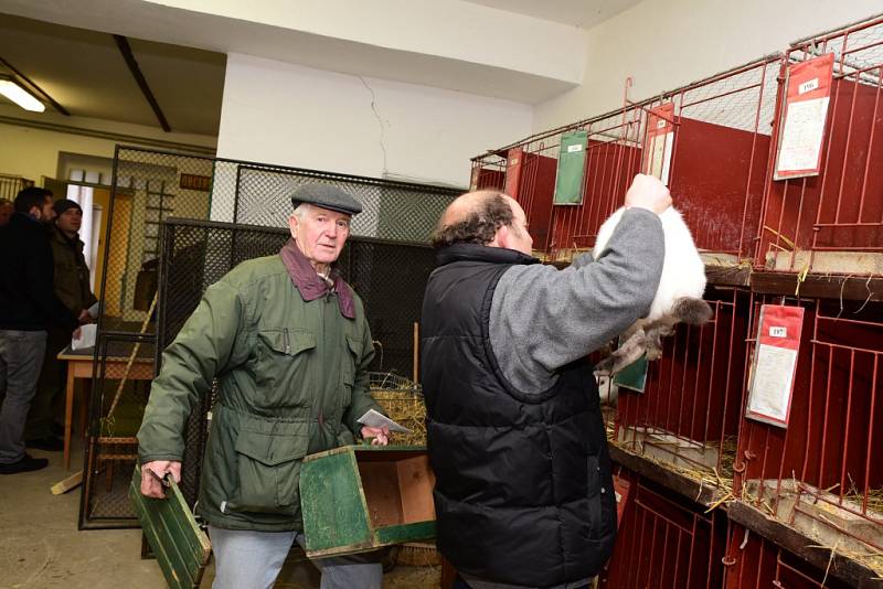 Chovatelská výstava drůbeže, králíků a holubů v Dobrovici