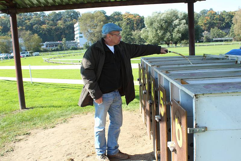 Závody chrtů v Mladé Boleslavi