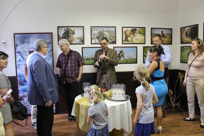 Na zámku v Benátkách nad Jizerou byla  otevřena stálá expozice velkých kopytníků. Výstava fotografií Vojtěcha Lukáše se nachází v prostorách informačního centra.