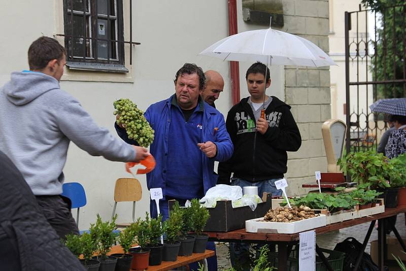 Studentské farmářské trhy v Horkách nad Jizerou