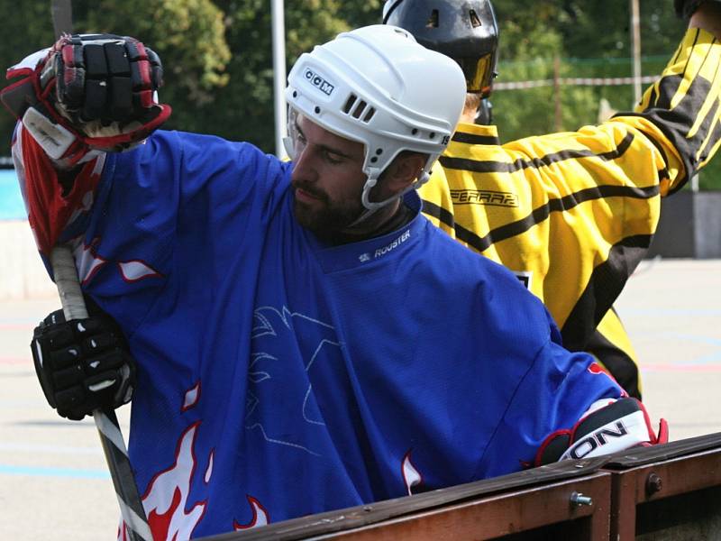 I. NHL: Tygři Mladá Boleslav - Plzeň Litice