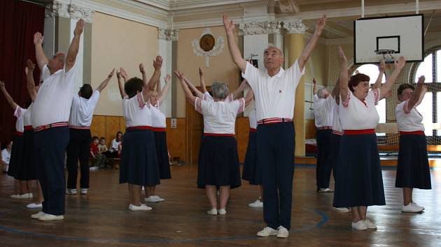 Akademie TJ Sokol Mladá Boleslav