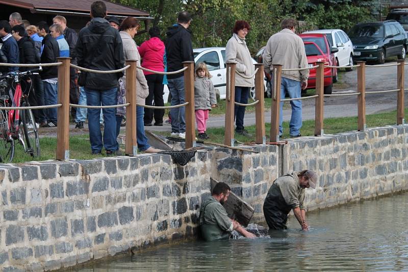 Výlov Bradleckého rybníka navštívily desítky lidí