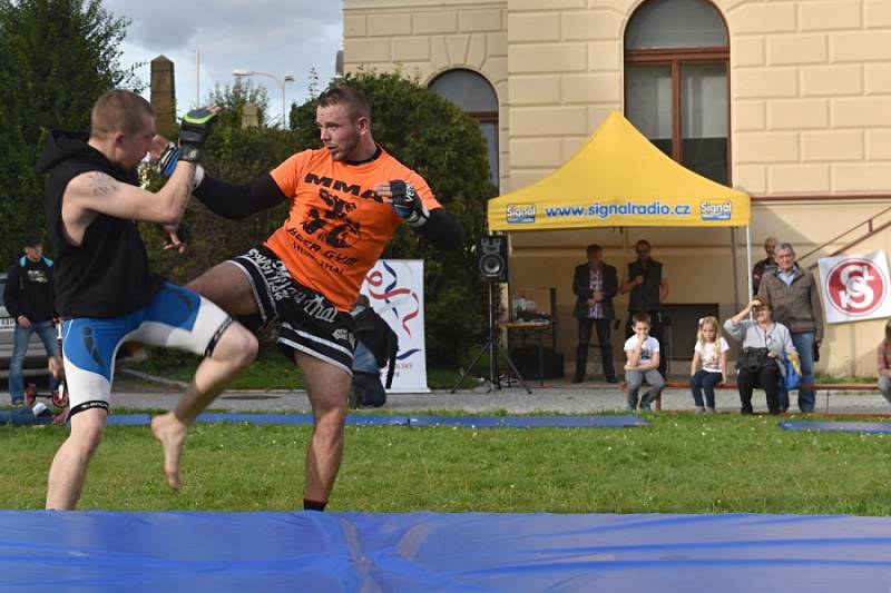 Tělocvičná jednota Sokol Mladá Boleslav se stejně jako v loňském roce zapojila do projektu Sokol - spolu v pohybu se svou již tradiční akcí Sokolení.  