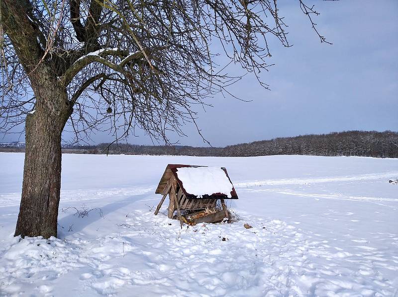 Z lyžování v na Mnichovohradišťsku