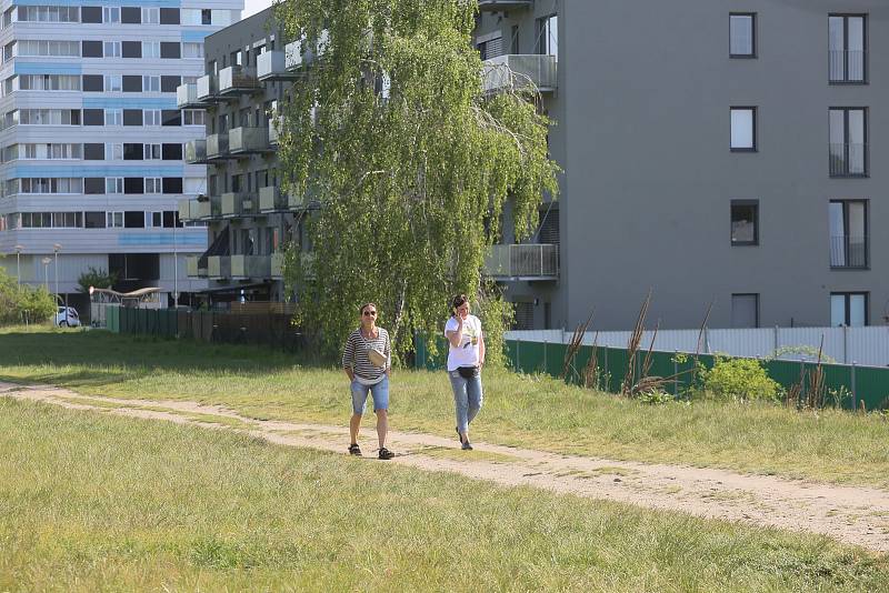 Syslí louka v přírodním parku Radouč ve středu 18. května 2022.