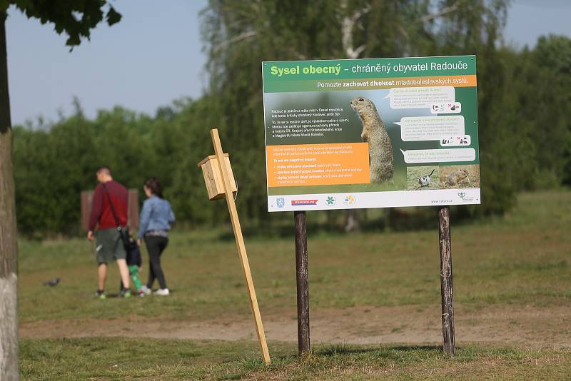 Syslí louka v přírodním parku Radouč ve středu 18. května 2022.