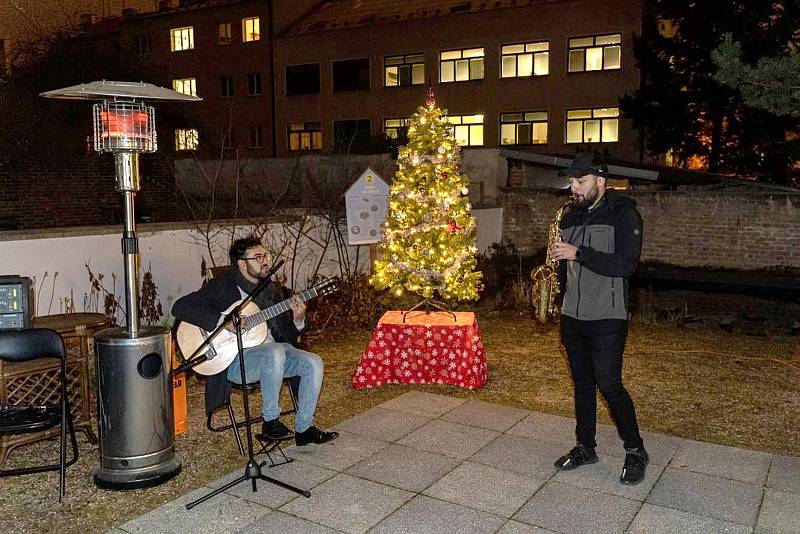 V komunitním centru Klementinka rozsvítili vánoční stromek a pěkně si u toho také zazpívali.