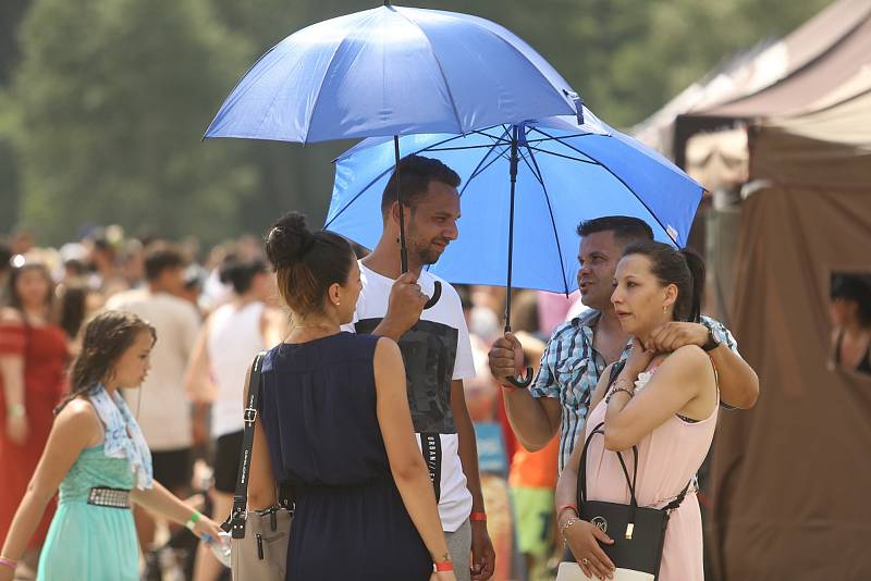 Na Krásné louce se v sobotu uskutečnil 4. Romský festival, který lákal na hudební vystoupení, ale také na několik celebrit.