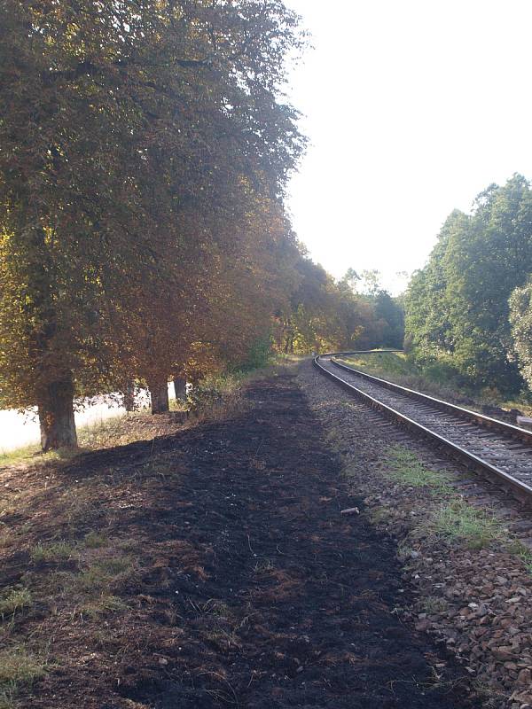Požár, vzniklý pravděpodobně jiskrami odlétnutými od brzdy vlaku, zachvátil úsek trati mezi Bakovem nad Jizerou a Bělou pod Bezdězem.