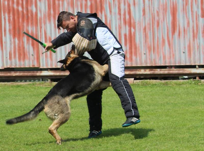 Na dětském dni se představili hasiči i kynologové