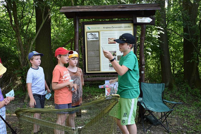 V Dolním Bousově byla slavnostně otevřena v pořadí již druhá naučná stezka. Její název je Krajinou Červenského rybníka.