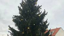 Vánoční strom v Mnichově Hradišti.