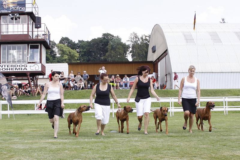 O víkendu proběhla na Krásné louce národní výstava Interdog Bohemia