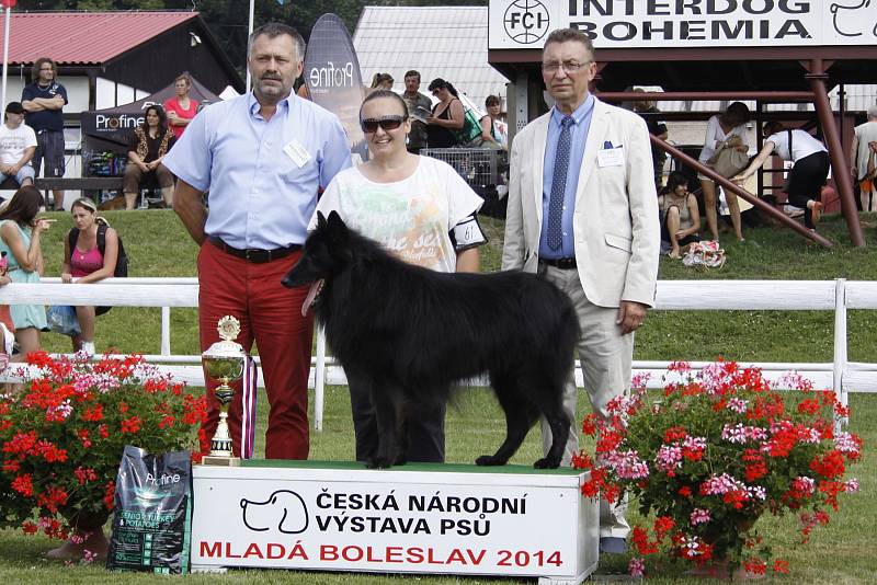 O víkendu proběhla na Krásné louce národní výstava Interdog Bohemia