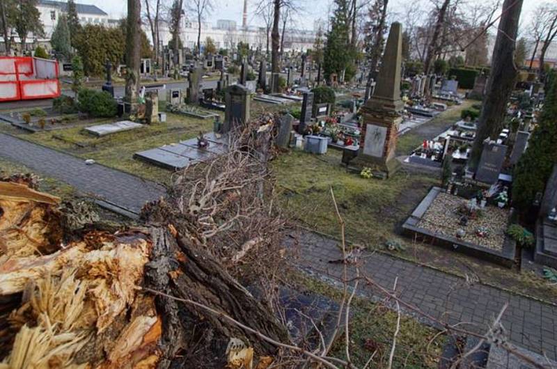 Dozvuky vichřice Sabine v Mladé Boleslavi