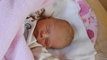 VIOLA Borecká se narodila 16. listopadu mamince Monice a tatínkovi Milanovi z Dražic. Vážila 2,48 kilogramů a měřila 44 centimetrů. Doma se na ni už těší sourozenci Alenka a Vilík.
