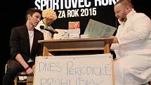 Sportovec Mladoboleslavska 2015