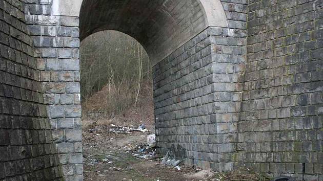 Jitku Křemenovou vrah ukryl pod mostem nedaleko Debře
