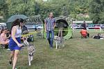 Česká národní výstava psů na mladoboleslavské Krásné louce hostila o víkendu stovku plemen čtyřnohých miláčků.