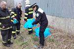 Policisté v Boleslavi našli sedm mrtvých nutrií