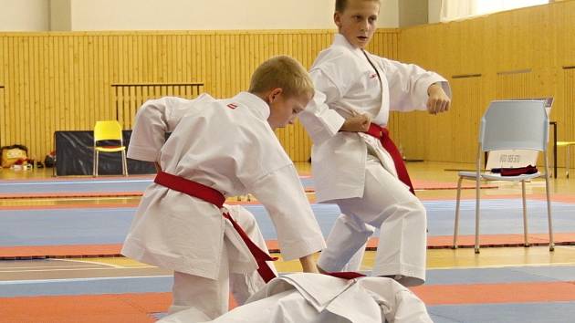 Liberecký pohár v karate