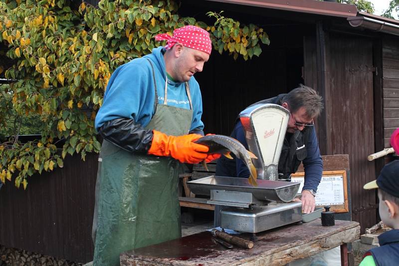 Výlov Bradleckého rybníka navštívily desítky lidí