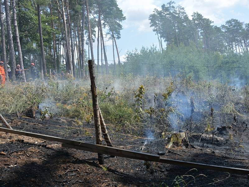 Požár lesní školky u Sudova Hlavna hasil i vrtulník s bambi vakem.