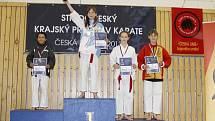 Auto Škoda - karate - krajské přebory 2013