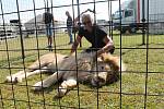 Cirkus Bernes, kterému neřekne nikdo jinak než Berousek , zde zahájí premiérovým představením druhou polovinu letošní sezony.