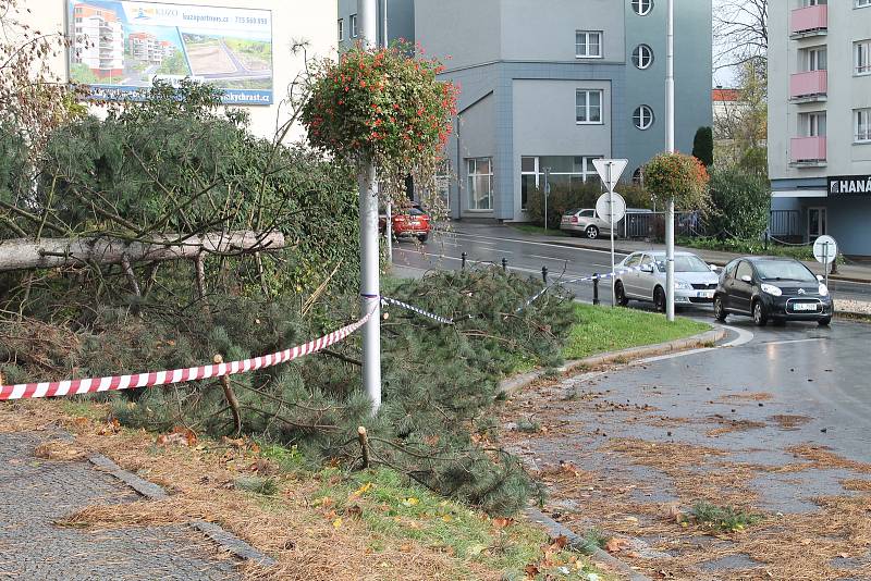 Větrná kalamita na Boleslavsku.