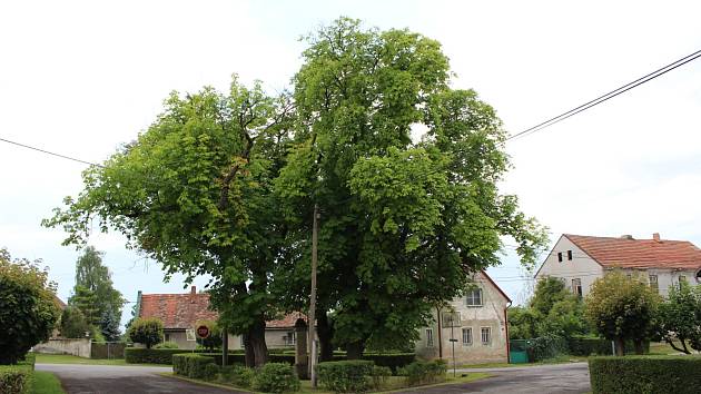 Hrušov nad Jizerou