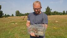 Čtyři desítky syslů z Radouče posílí kolonie v Kolíně a Loděnicích.