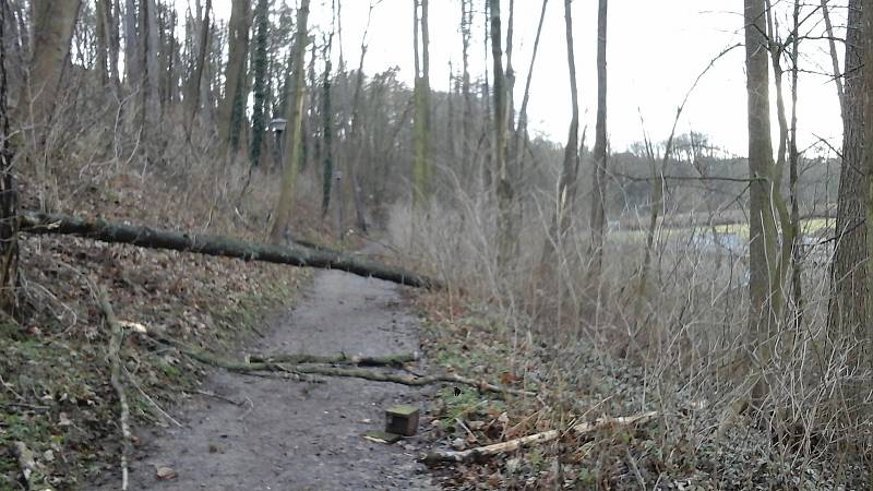 Dozvuky vichřice v Mnichově Hradišti